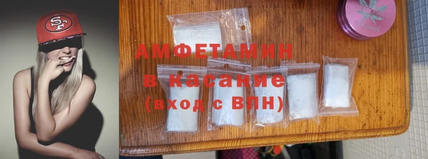 индика Алексин