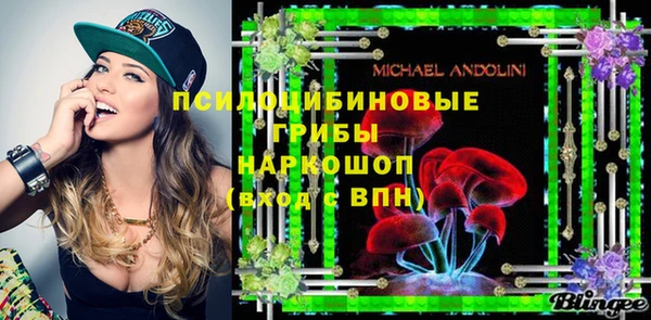 индика Алексин