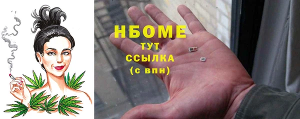 индика Алексин