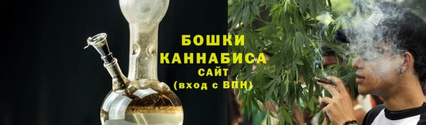 PSILOCYBIN Алзамай