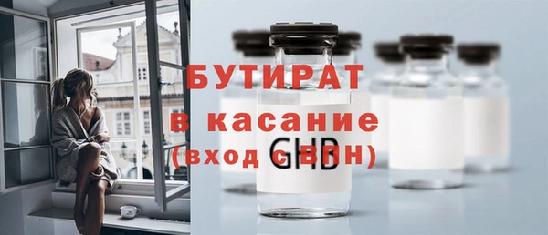 индика Алексин