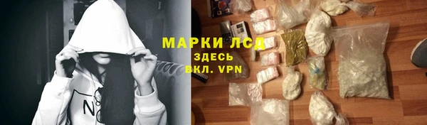 PSILOCYBIN Алзамай