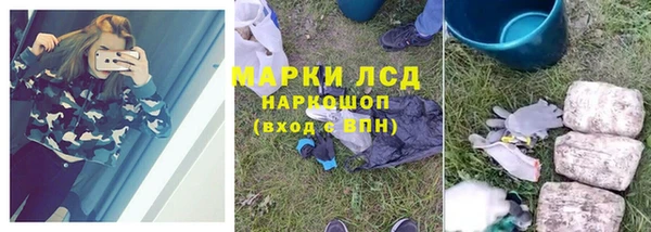 PSILOCYBIN Алзамай